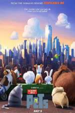 Watch The Secret Life of Pets Movie2k