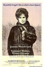 Watch Summer Wishes, Winter Dreams Movie2k