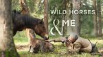 Watch Wild Horses, the Rockies and Me (TV Special 2025) Movie2k