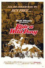 Watch Ride a Wild Pony Movie2k