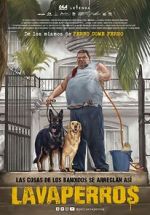 Watch Dogwashers Movie2k