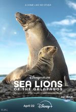 Watch Sea Lions of the Galapagos (TV Special 2025) Movie2k