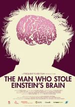 Watch The Man Who Stole Einstein\'s Brain Movie2k