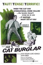 Watch The Cat Burglar Movie2k