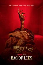 Watch Bag of Lies Movie2k