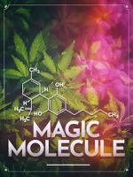 Watch Magic Molecule Movie2k