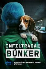 Watch Infiltrada en el b�nker Movie2k