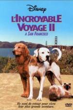 Watch Homeward Bound II Lost in San Francisco Movie2k