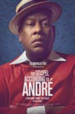 Watch The Gospel According to Andr� Movie2k