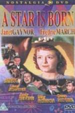 Watch A Star Is Born Movie2k