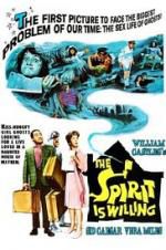 Watch The Spirit Is Willing Movie2k