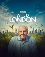 Watch Wild London (TV Special 2026) Movie2k