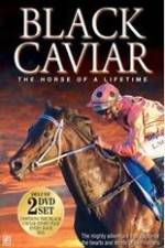 Watch Black Caviar The Races Movie2k
