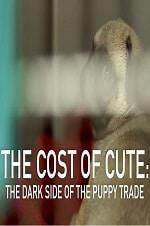 Watch The Cost of Cute: The Dark Side of the Puppy Trade Movie2k