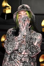 Watch The 63rd Annual Grammy Awards Movie2k