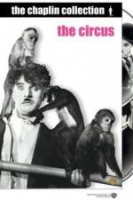 Watch The Circus Movie2k