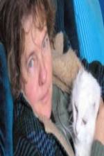 Watch Ciao Meow Movie2k