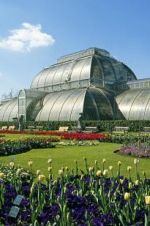 Watch Cruickshank on Kew: The Garden That Changed the World Movie2k