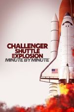 Watch Challenger Shuttle Disaster: Minute by Minute Movie2k