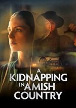Watch A Kidnapping in Amish Country Movie2k