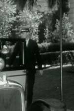 Watch Night Life in Reno Movie2k