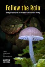 Watch Follow the Rain Movie2k