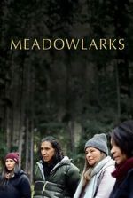 Watch Meadowlarks Movie2k