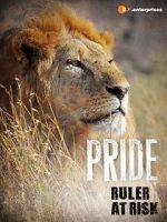 Watch Pride - Ruler\'s at Risk Movie2k