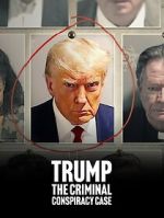 Watch Trump: The Criminal Conspiracy Case Movie2k