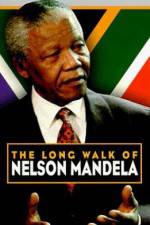 Watch The Diamond Empire Movie2k