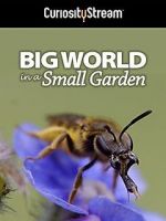 Watch Big World in a Small Garden (TV Short 2016) Movie2k