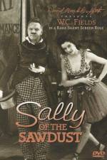 Watch Sally of the Sawdust Movie2k