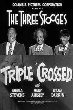 Watch Triple Crossed Movie2k