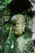 Watch The Thousand Years Old Man (  ) Movie2k