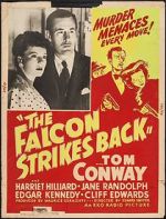 Watch The Falcon Strikes Back Movie2k