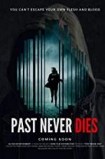 Watch The Past Never Dies Movie2k