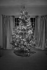 Watch The Christmas Miracle Movie2k