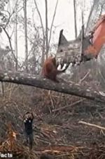 Watch Climate Change: The Facts Movie2k