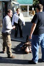 Watch Dead Stop Movie2k