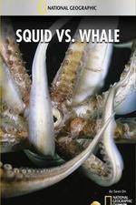 Watch National Geographic Wild - Squid Vs Whale Movie2k