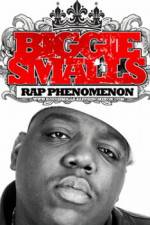 Watch Biggie Smalls Rap Phenomenon Movie2k