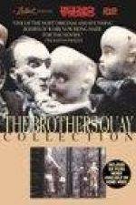 Watch The Comb Movie2k