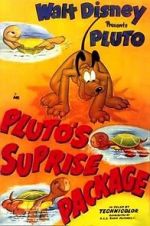 Watch Pluto\'s Surprise Package Movie2k