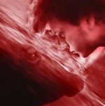 Watch We All Poop: All the Blood Movie2k