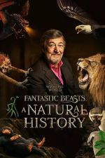 Watch Fantastic Beasts: A Natural History Movie2k