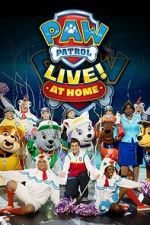 Watch PAW Patrol Live! at Home (TV Special 2021) Movie2k