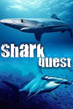 Watch Shark Quest Movie2k