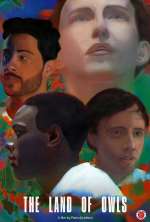 Watch The Land of Owls Movie2k