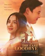 Watch The Last Goodbye Movie2k