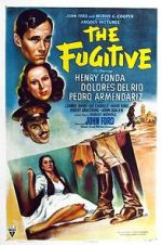 Watch The Fugitive Movie2k